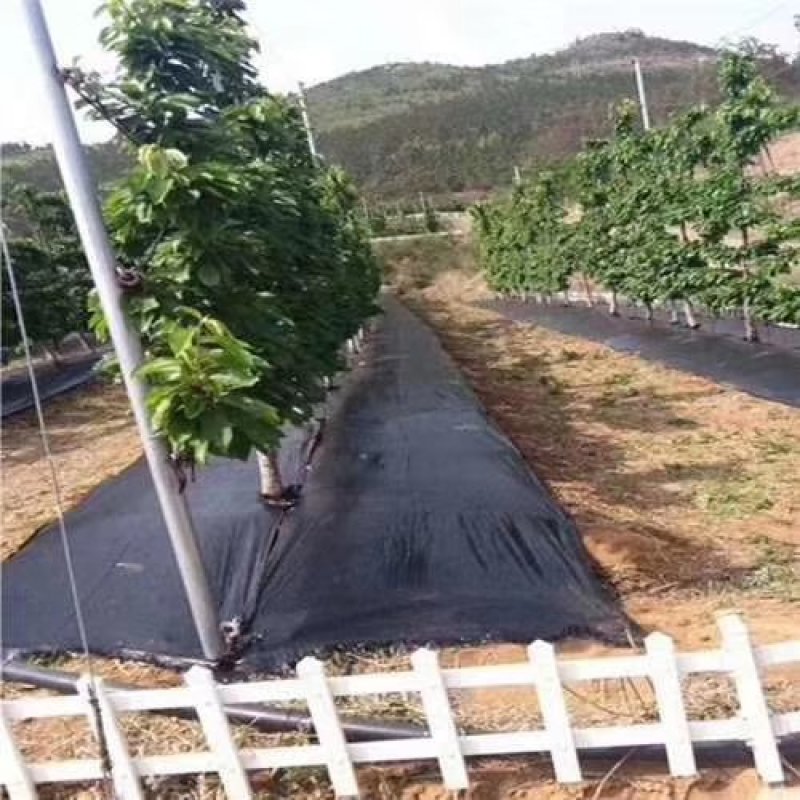 蔬菜防草布果树种植防草布可自然降解防草布山东老店