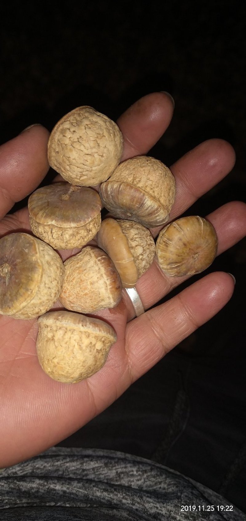 特级大野生风流果干货，无硫，纯太阳晒干靓货