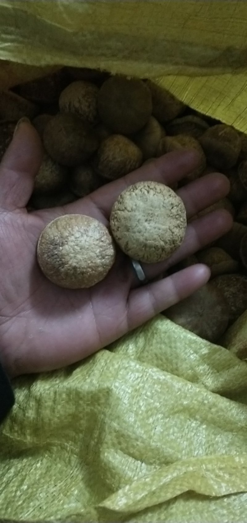 特级大野生风流果干货，无硫，纯太阳晒干靓货