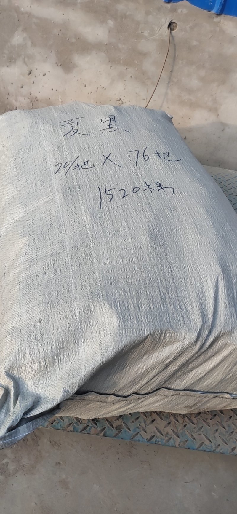 早夏无核葡萄苗保证纯度保证成活率