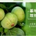 无花果苗波姬红无花果苗盆栽地栽南北方种植无花果树果苗