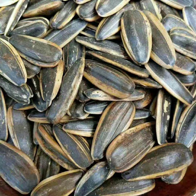 2019年货心新瓜子颗粒饱满价格美丽