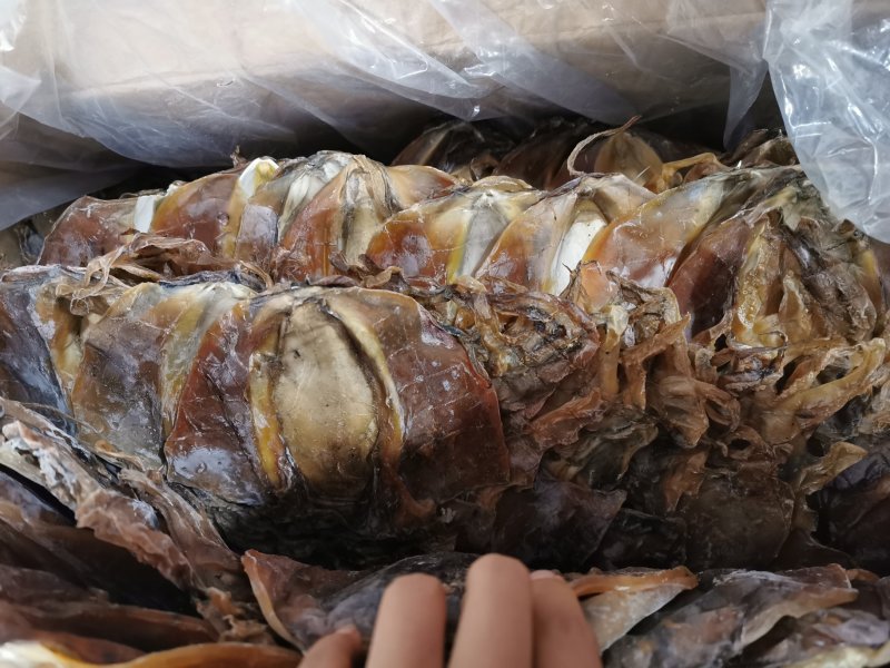 A1淡干墨鱼，淡干大墨鱼产地直销