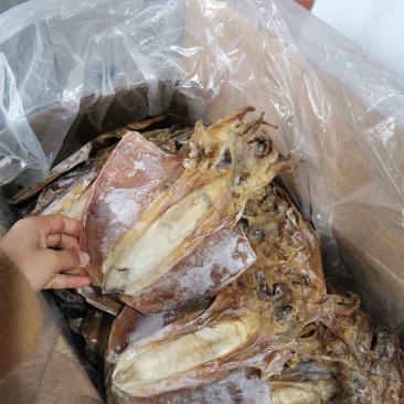 A1淡干墨鱼，淡干大墨鱼产地直销