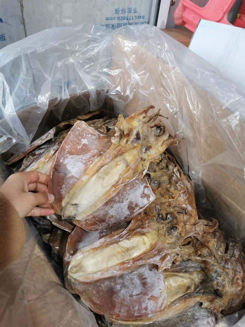 A1淡干墨鱼，淡干大墨鱼产地直销