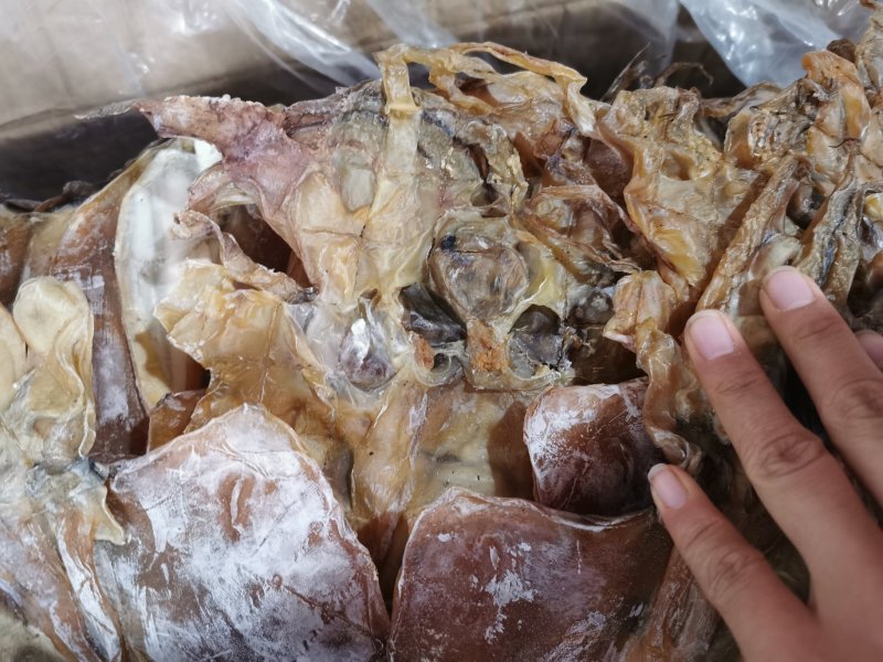 A1淡干墨鱼，淡干大墨鱼产地直销