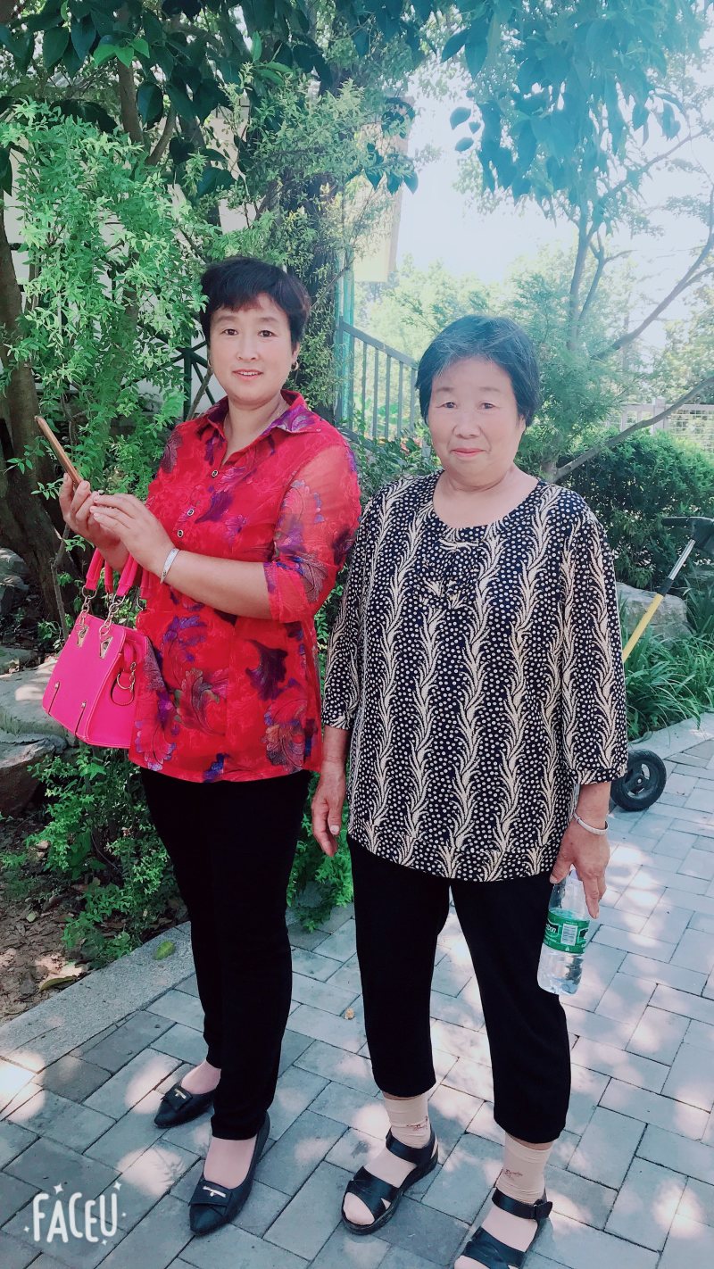 各种蔬菜苗苗
