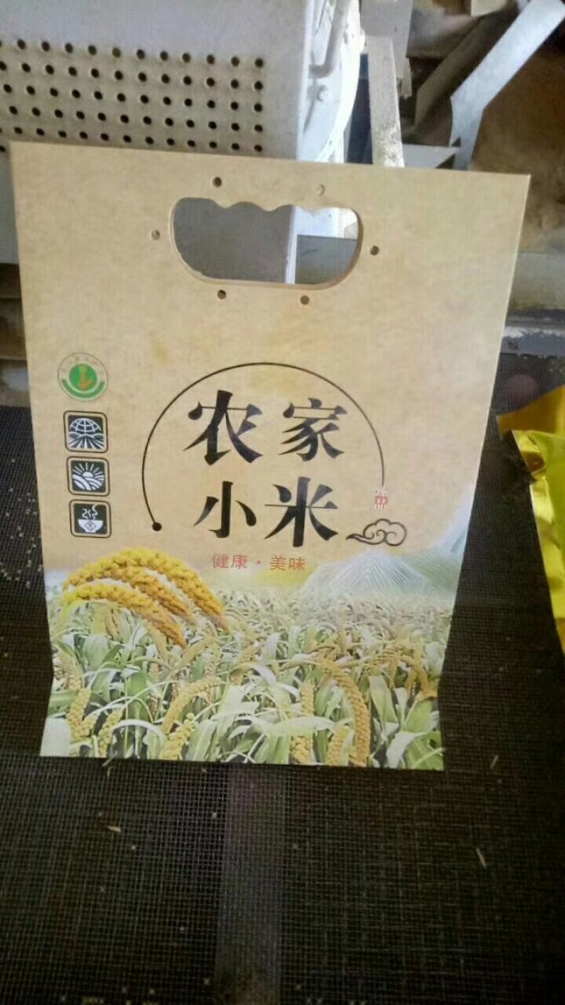 2022春谷新米金谷米，色泽鲜亮，颗粒饱满，月子米袋装