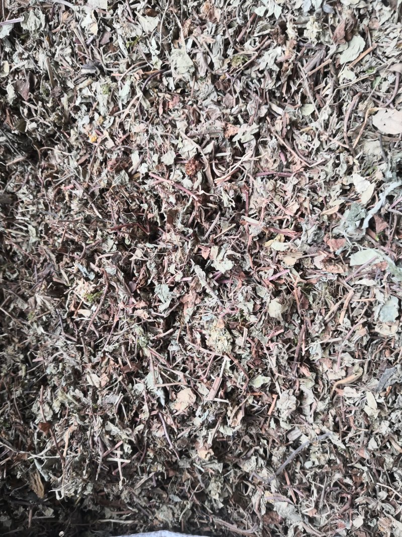 过路黄四川1公斤起批无硫无添加不包邮只做正品