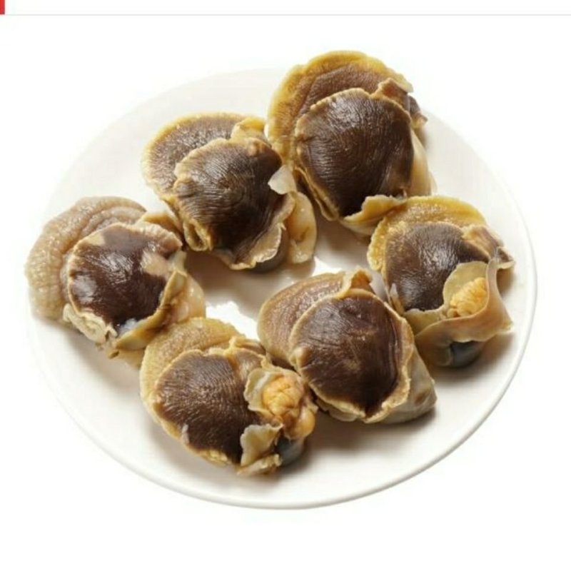 海螺肉玉螺肉冷冻海螺肉去内脏大海螺鲜活海鲜水产贝类