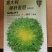 【有好货】黄心苦苣种子大田菜园高产易种碎叶细叶黄心苦菊种子