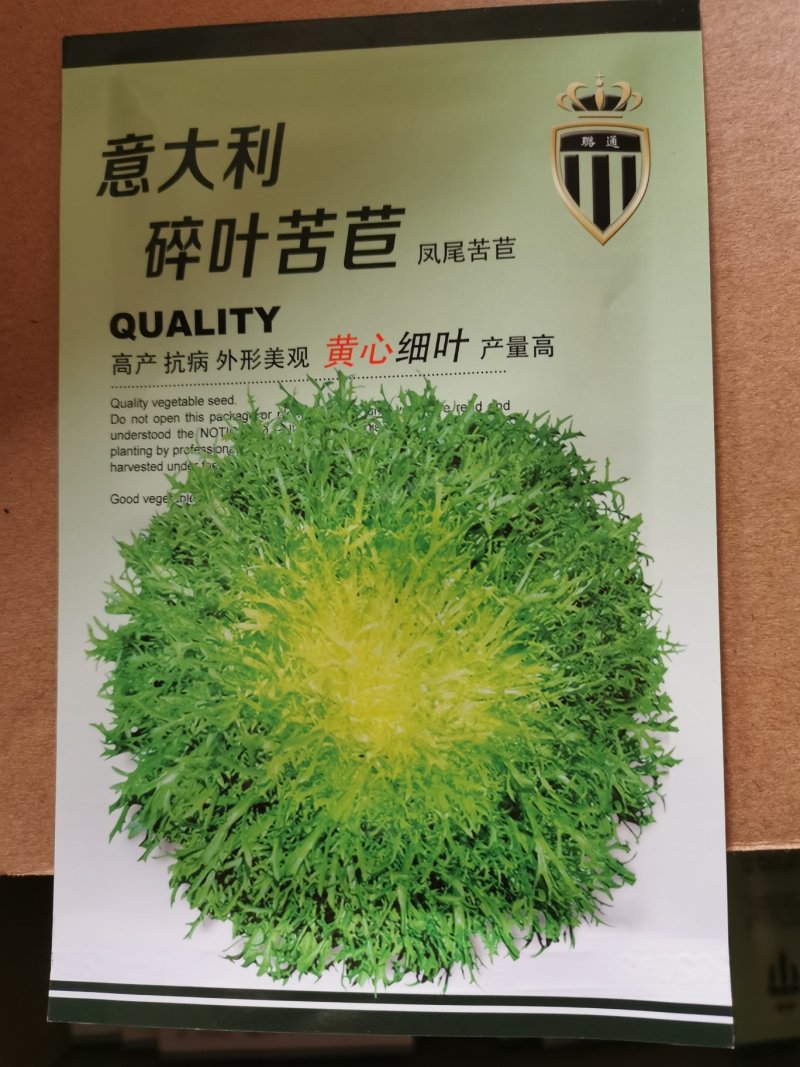 【有好货】黄心苦苣种子大田菜园高产易种碎叶细叶黄心苦菊种子