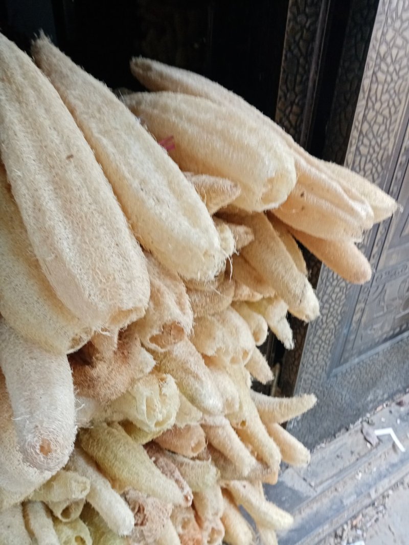 洗碗用丝瓜络：药用丝瓜络无皮元籽干品9元一斤。有大货批发