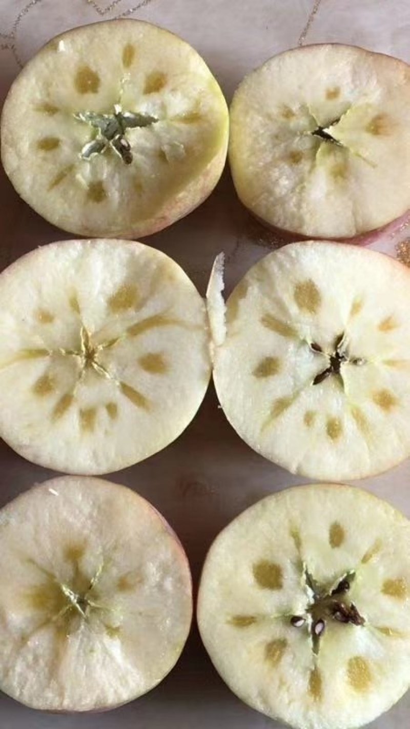 冰糖心苹果75mm以上膜袋货原产地直销量大条红