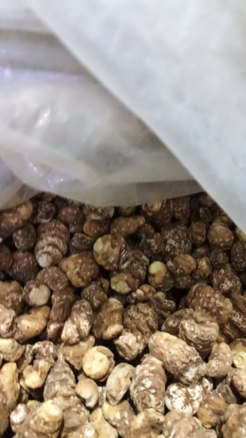 东北重楼，高丽瓜，也是头顶一颗珠，白花延灵草。