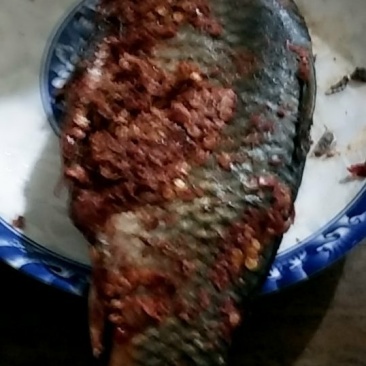 贵州正宗腌鱼