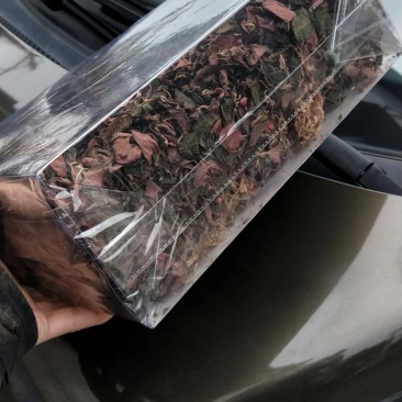 种植金线莲干品，台湾尖叶红霞干品