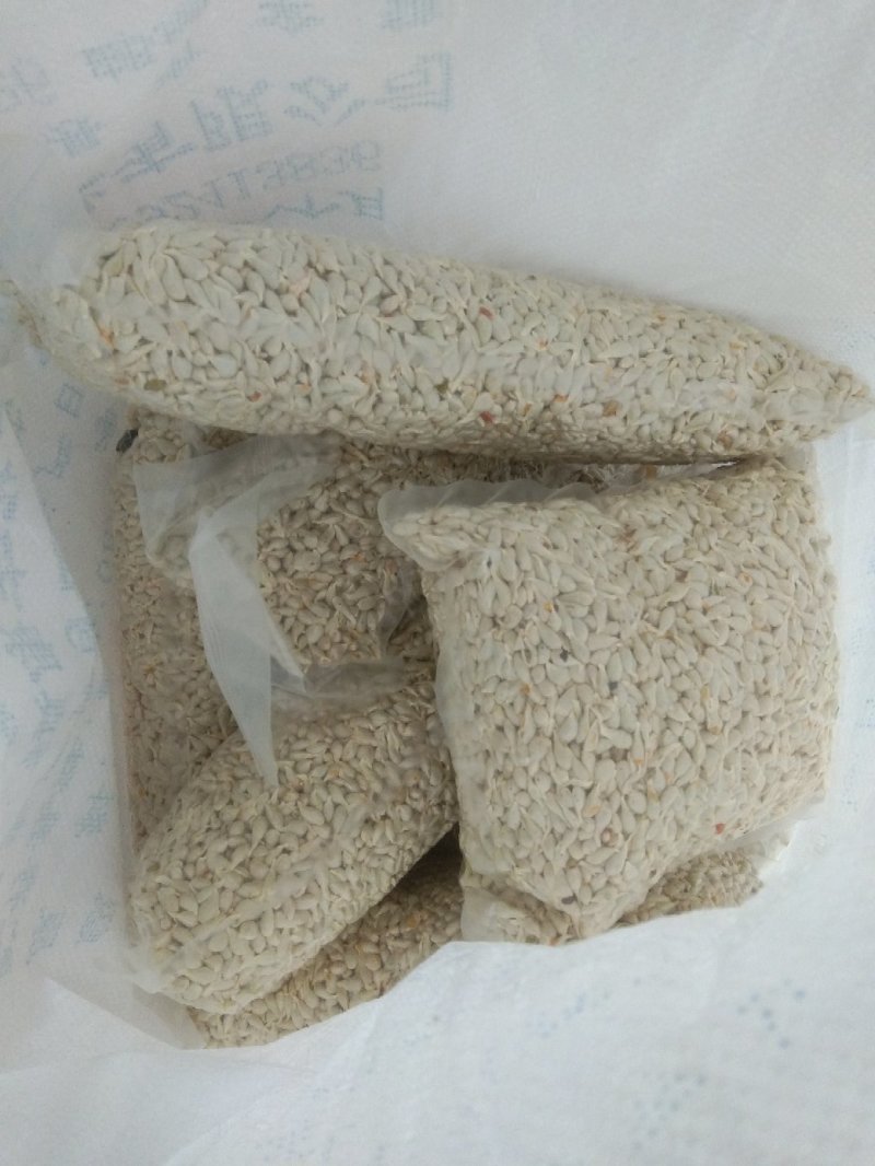 四川红桔种子，颗颗饱满，粒粒晶莹剔透，