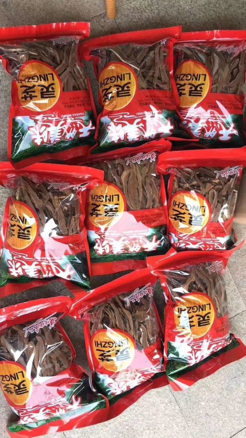 切片灵芝不会苦紫灵芝大棚