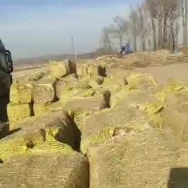 谷草草块玉米秸秆草块