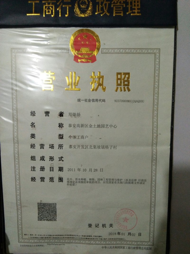 【不发芽10倍退款】苹果种子苹果种子种植技术包教包会种植