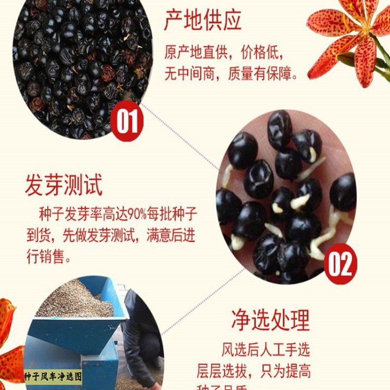 射干种子多少钱一斤?新产良种，产地批发销售