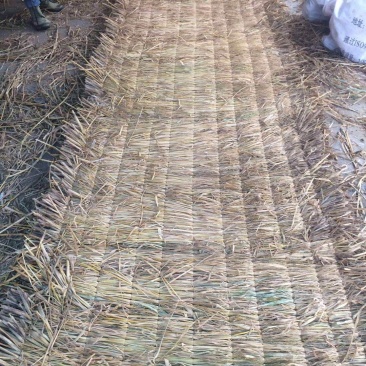 各类植物养护保湿保温稻草草帘子