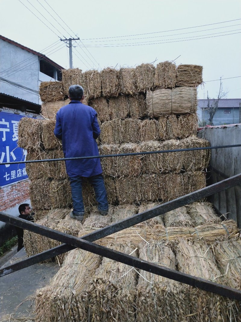各类植物养护保湿保温稻草草帘子