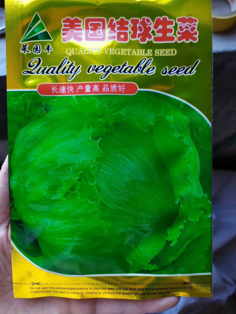 【精选】结球生菜种子美国结球生菜包心结球生菜