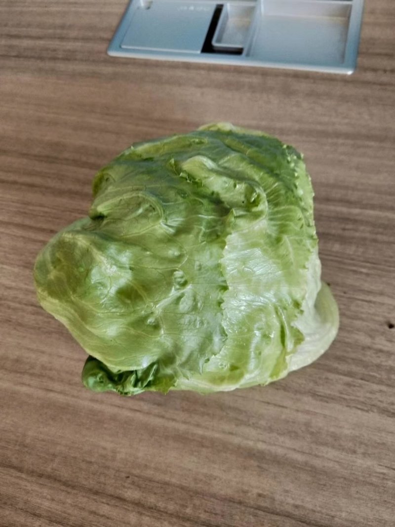 【精选】结球生菜种子美国结球生菜包心结球生菜