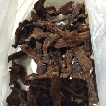 骨碎补，贵州高含量货，要含量就得找道地贵州货