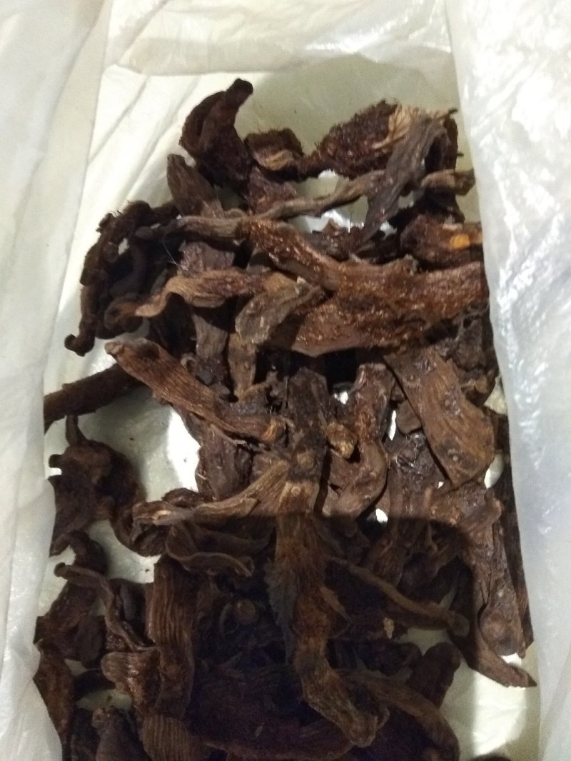骨碎补，贵州高含量货，要含量就得找道地贵州货