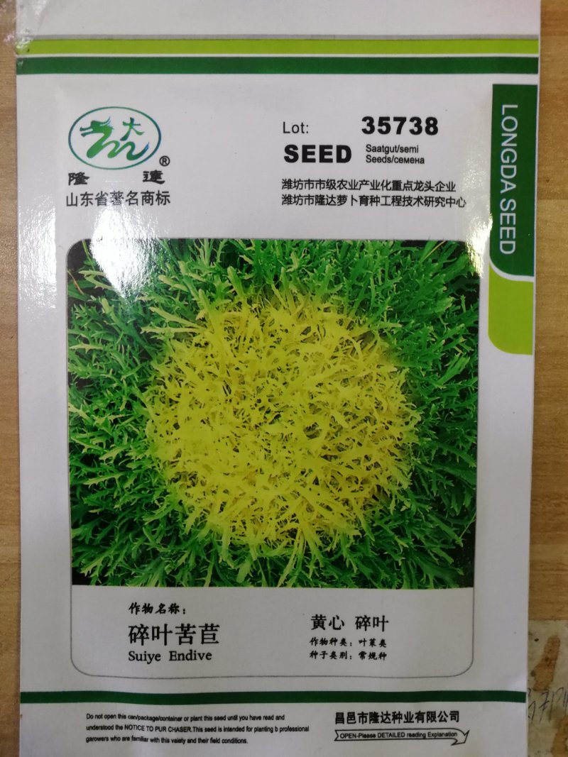 【精选】苦菊种子花叶苦菊碎叶苦菊种子