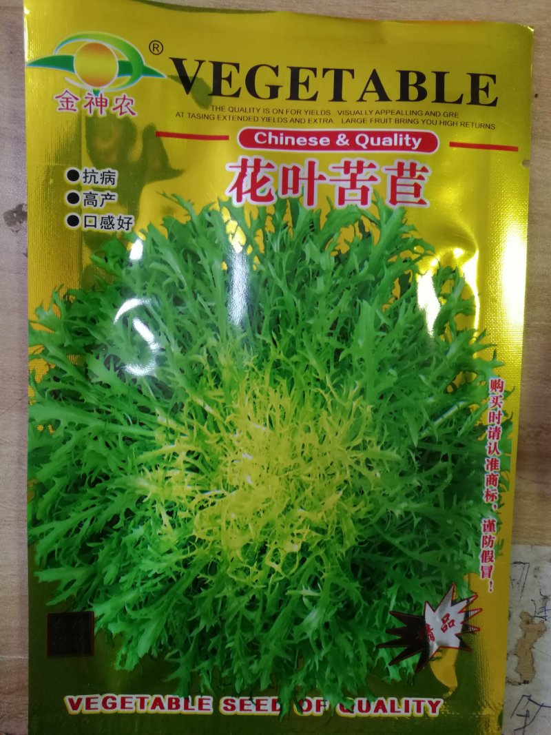 【精选】苦菊种子花叶苦菊碎叶苦菊种子