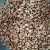 当季新花生米花生瓣油料花生米！所有商品不包邮！