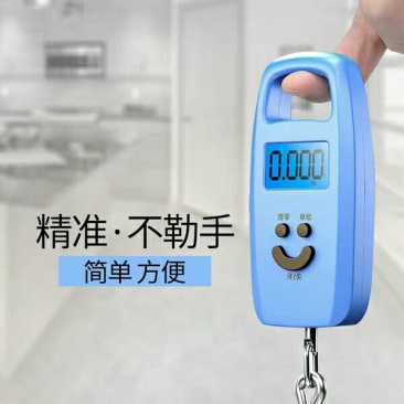 远驰迷你称重电子称手提秤50kg电子秤便携式手提称挂钩