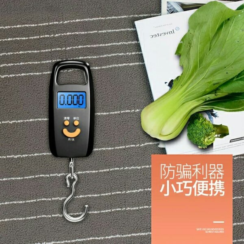 远驰迷你称重电子称手提秤50kg电子秤便携式手提称挂钩