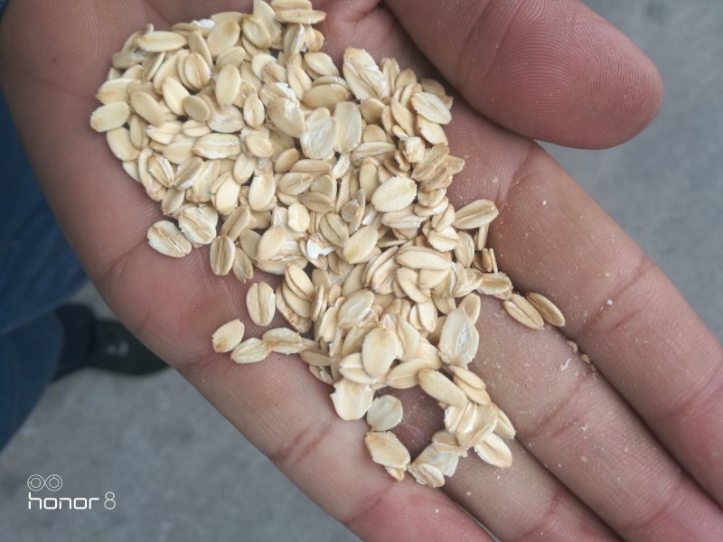 燕麦片！所有商品不包邮！货物需要自提