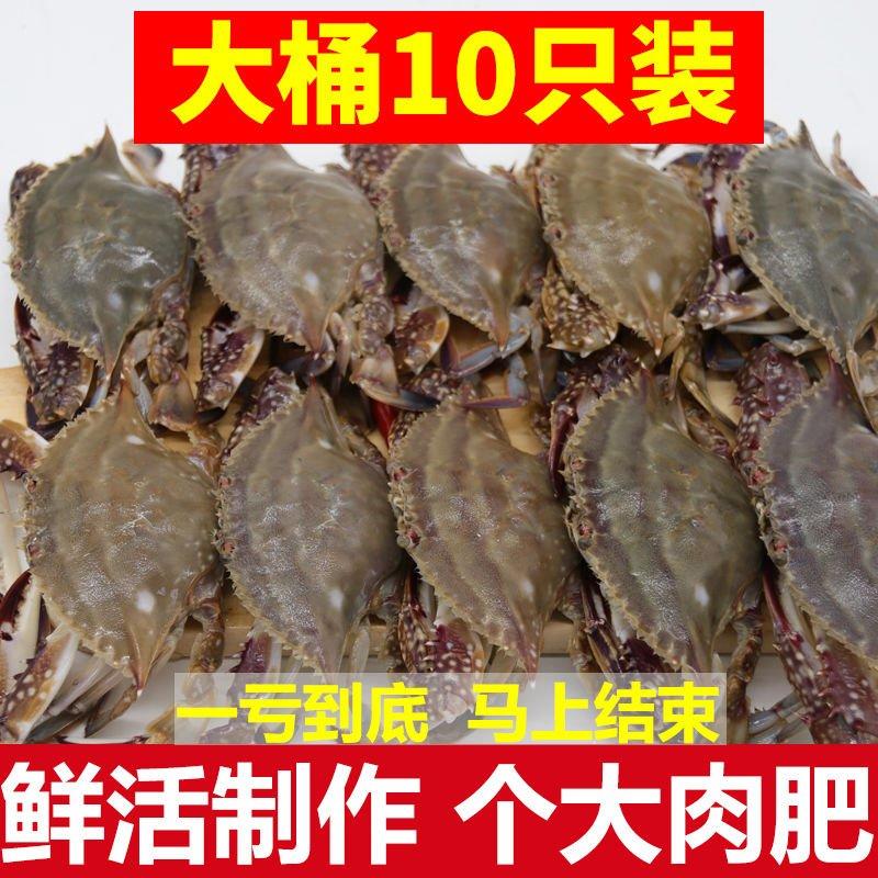 咸炝蟹10只装2斤呛蟹咸蟹宁波特产梭子蟹即食海鲜白蟹腌蟹
