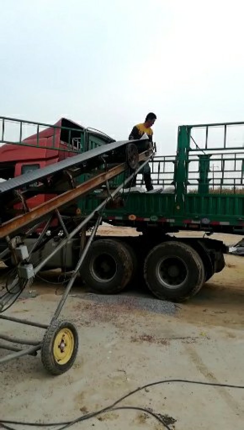 供应小米壳小米糠小米油糠脂肪蛋白含量14量大优惠