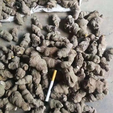 华重楼，粉质重楼，野生家种都有