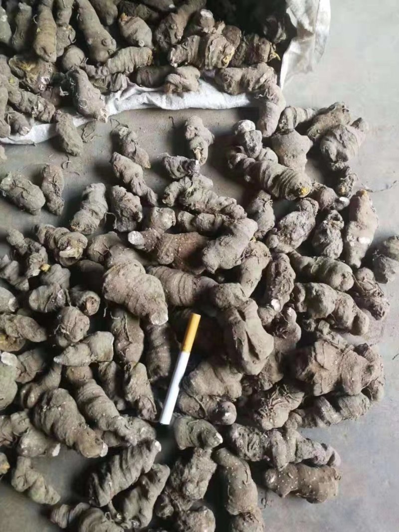 华重楼，粉质重楼，野生家种都有
