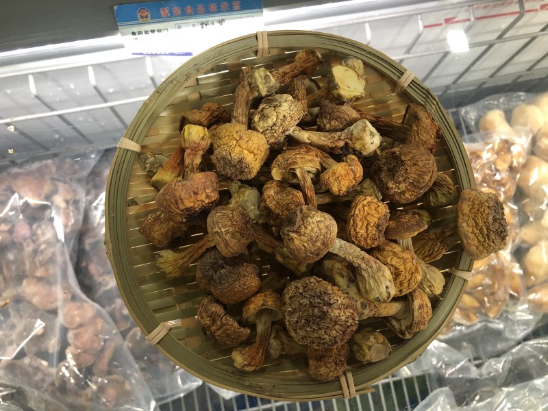 精品手选金黄色姫松茸干货