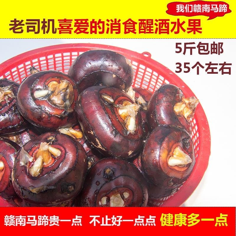 正宗新鲜很甜的荸荠马蹄清火一件代发水果