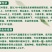 韭菜种子791宽叶雪韭叶色绿厚耐寒抗病品质佳好吃