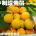 砀山黄桃苗83、19.甜食黄桃苗现挖现卖死苗补发提供技术