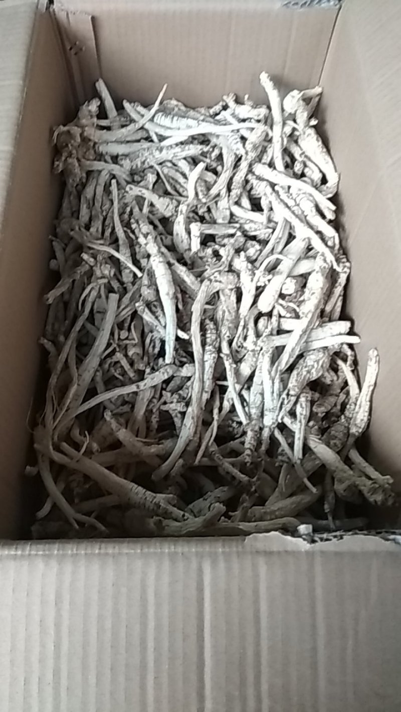 南沙参干货，纯野生，颜色好