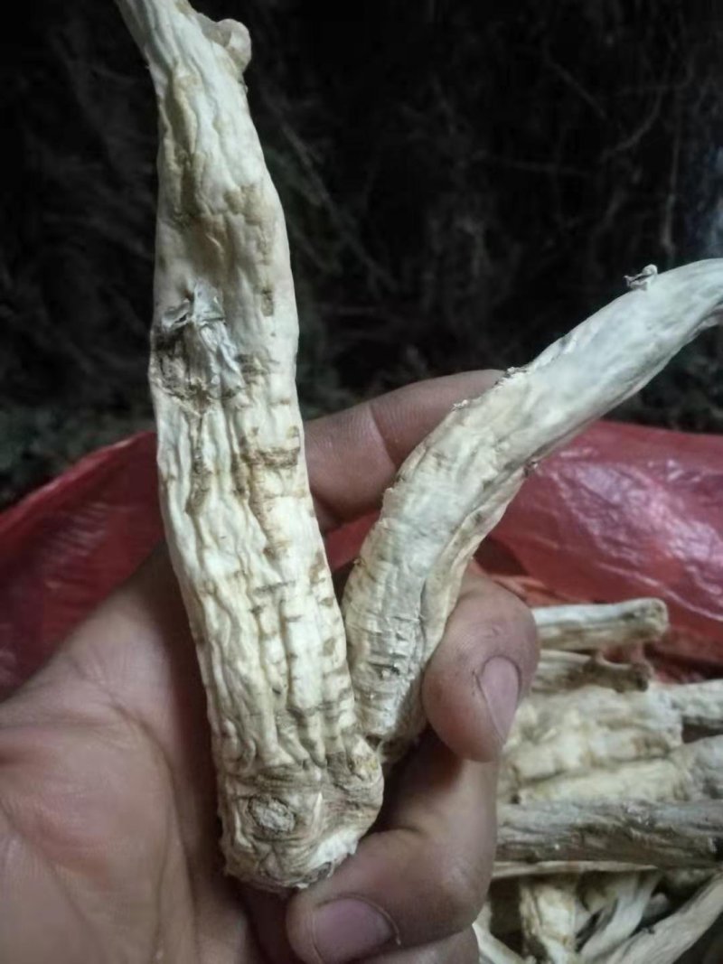 南沙参干货，纯野生，颜色好