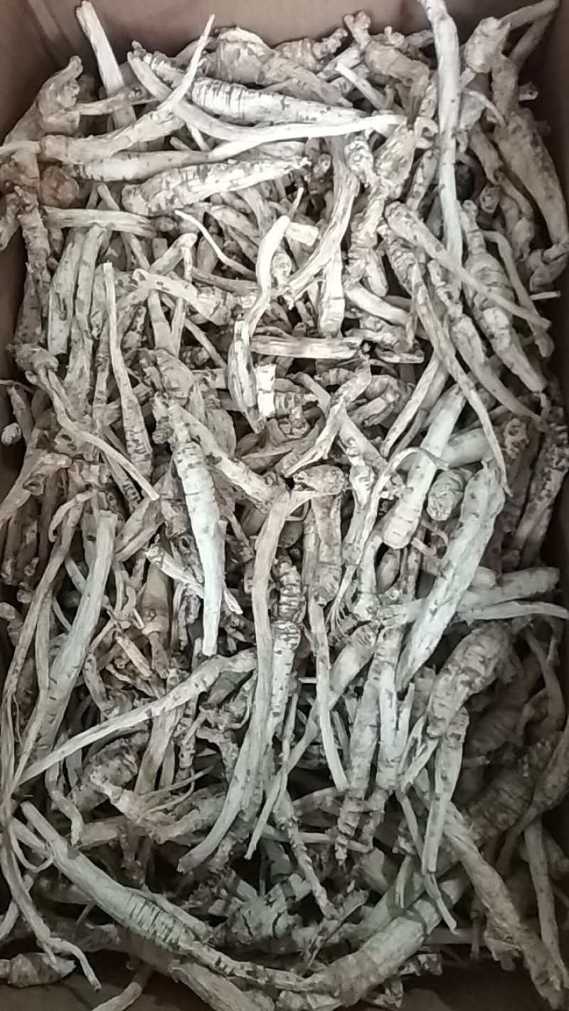 南沙参干货，纯野生，颜色好