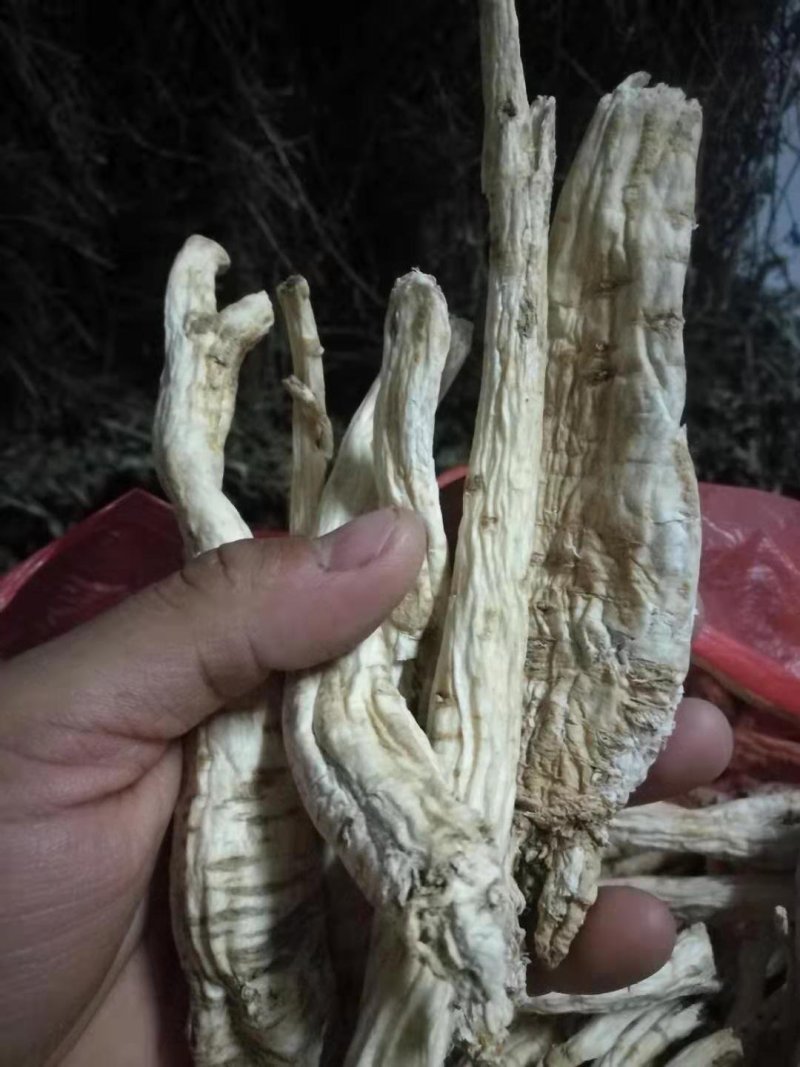 南沙参干货，纯野生，颜色好